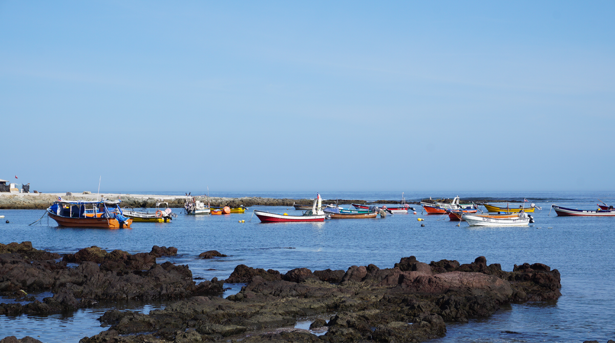 Chanavayita: Futuro en el alma del Litoral Costero