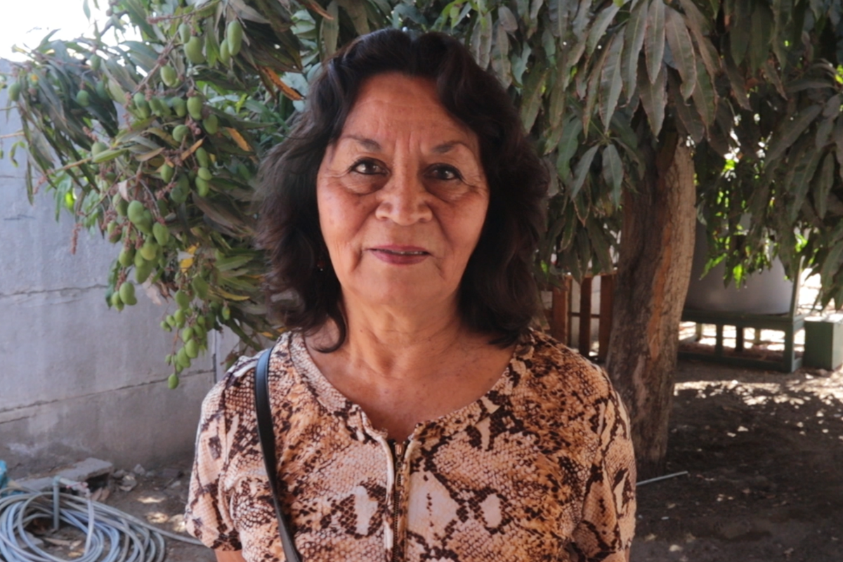 Mara Cayo: “El trabajo en equipo nos permitió esterilizar cerca de 600 mascotas”