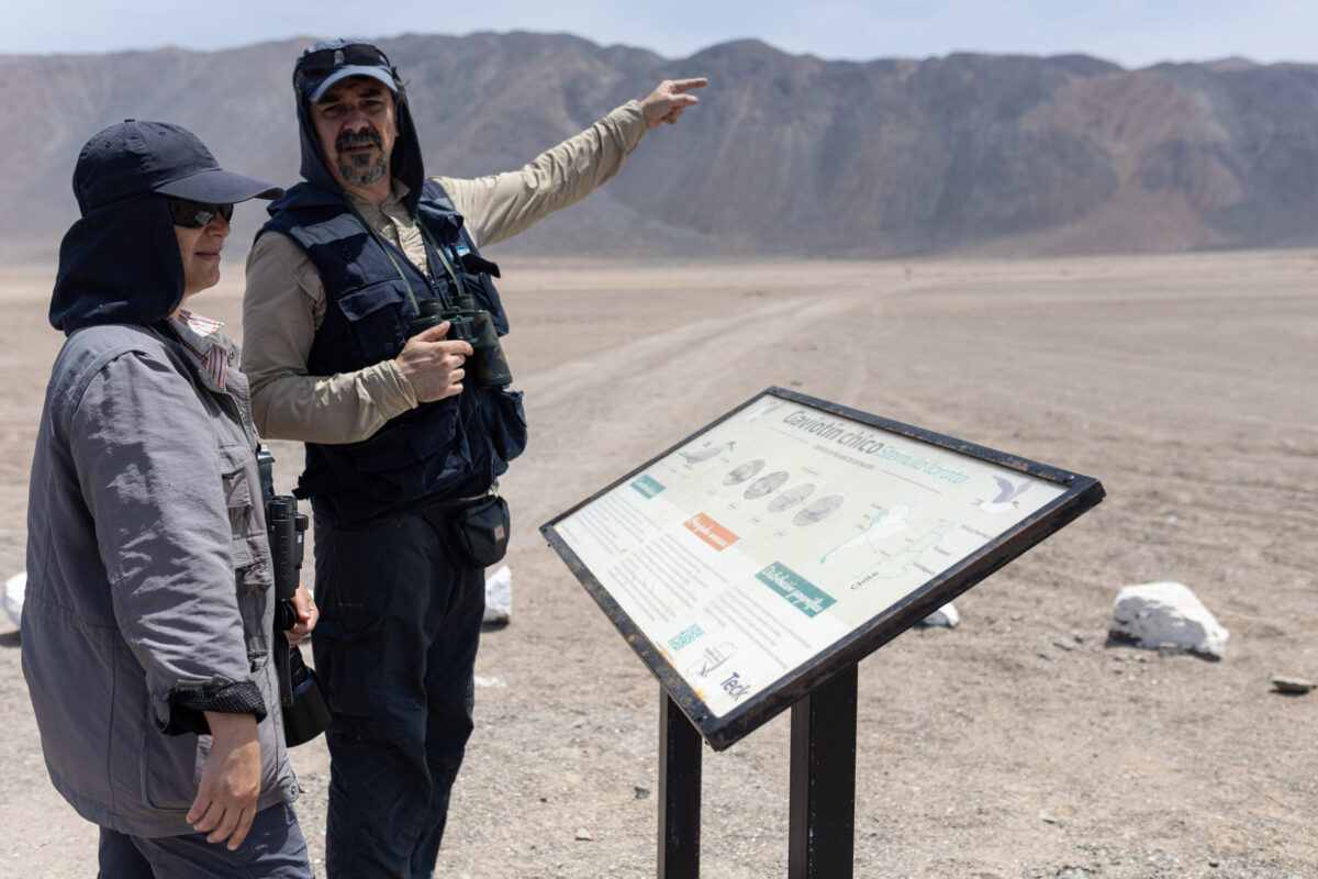 El trabajo de especialistas ambientales en el área de protección del Gaviotín Chico