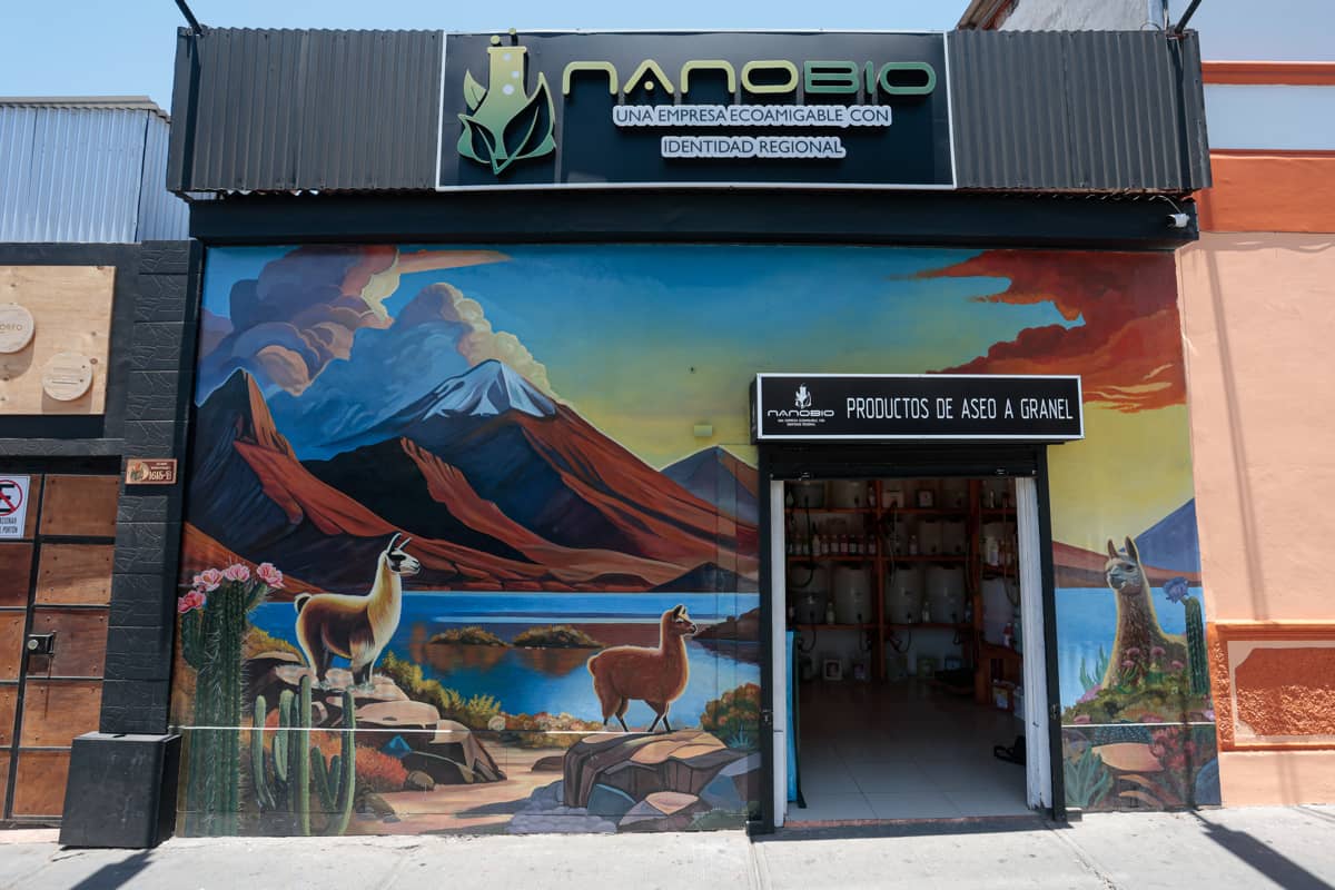 Nanobio: Innovación, sustentabilidad e identidad regional desde Tarapacá