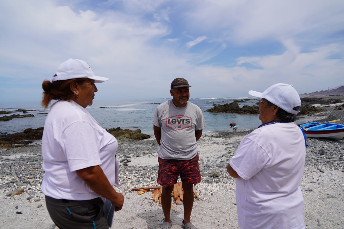 La labor del voluntariado que fortalece la conservación del gaviotín chico en el borde costero de la región